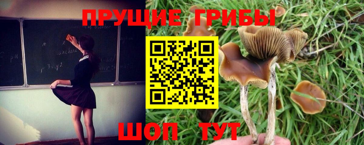 Галлюциногенные грибы мухоморы Ялуторовск