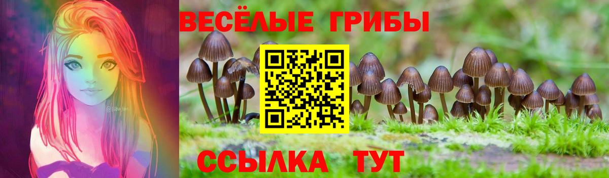 Ялуторовск  Галлюциногенные грибы Psilocybe  Вход с VPN 